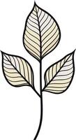 Simple Line Drawing of a Branch with Three Leaves vector