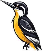 A Colorful Bird with a Long Beak vector