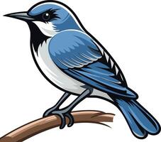 Bluebird Perched on a Branch vector