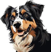 Portrait of a Smiling Australian Shepherd vector