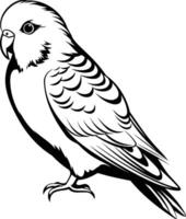 A simple, elegant line drawing of a parakeet in profile, perfect for coloring pages, illustrations, or tattoo designs vector