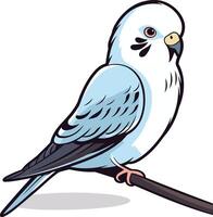 Blue Budgie Perched on a Branch vector