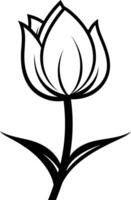 Simple line drawing of a single tulip vector
