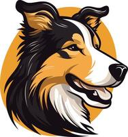 Smiling Collie Dog Portrait vector