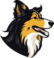 Charming Collie Portrait vector
