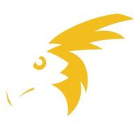 Abstract Eagle Design with Golden Feathers vector