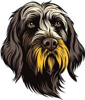 Portrait of a Wirehaired Pointing Griffon vector