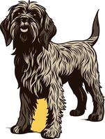 Illustration of a Wirehaired Pointing Griffon Dog vector