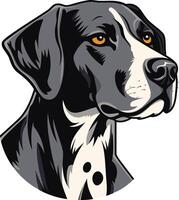 Portrait of a Pointer Dog vector