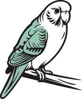 Parakeet on a Branch vector