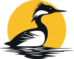 A Black-and-White Waterbird in a Golden Setting vector