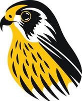 Abstract Illustration of a Hawk vector
