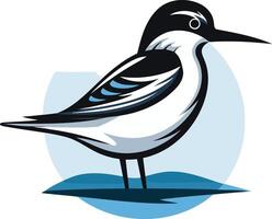 Seabird Illustration on Blue Background vector