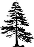 A simple yet elegant silhouette of a tall pine tree, perfect for adding a touch of nature to designs vector