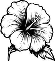 A detailed, black and white illustration of a hibiscus flower with intricate linework vector
