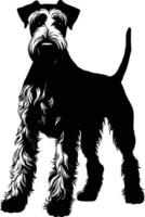 A striking silhouette of a schnauzer, captured in a simple yet elegant black and white design vector