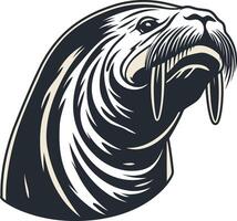 Vintage Illustration of a Walrus Head vector
