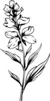 Elegant black and white illustration of a delicate flower, perfect for adding a touch of nature to designs vector