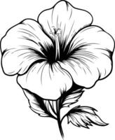 A delicate black and white line drawing of a hibiscus flower vector
