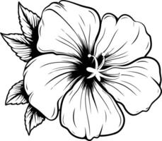 A simple yet elegant line drawing of a hibiscus flower, perfect for adding a touch of tropical beauty to your designs vector