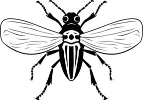 Black and white element illustration of a beetle with wings spread vector