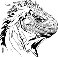 Line art illustration of an iguana's head in profile, perfect for tattoo designs, coloring pages, and reptilian themed projects vector