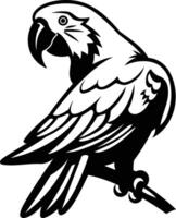 Black and white illustration of a parrot perched on a branch vector