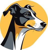 Portrait of a Whippet Dog vector