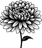 Elegant black and white illustration of a single chrysanthemum flower, perfect for adding a touch of nature to your designs vector