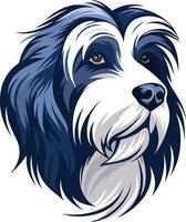 Portrait of a Bearded Collie vector