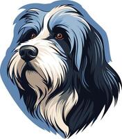 Portrait of a Bearded Collie vector