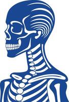 Blue Skeleton Silhouette Illustration vector