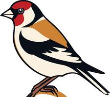 Illustration of a Colorful Bird vector