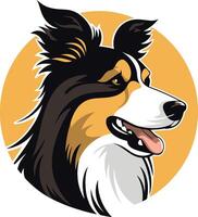 Border Collie Portrait with a Yellow Background vector