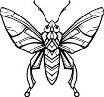 Geometric butterfly line art design vector
