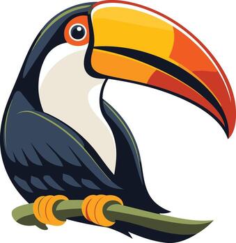 Toucan Bird with a Large Beak vector