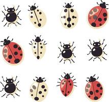 Set of Colorful Ladybugs Illustration vector