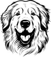 A bold and graphic illustration of a golden retriever's head, captured in a line art style vector
