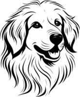 A black and white illustration of a golden retriever's head, looking directly at the viewer vector