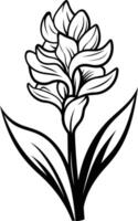Elegant line art illustration of a single flower with intricate details vector