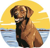 Chocolate Labrador Retriever Portrait vector