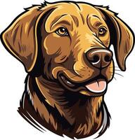 Portrait of a Labrador Retriever vector