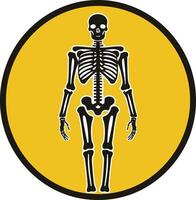 Skeleton Illustration in a Yellow Circle vector
