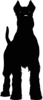 A simple yet striking silhouette of a miniature schnauzer, perfect for designs, website graphics, and social media vector