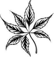 Elegant black and white illustration of a single, stylized leaf vector