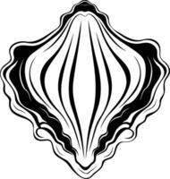 Black and white line art illustration of a seashell with a detailed design vector