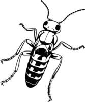 Black and white illustration of a stylized beetle with a bold, graphic design vector
