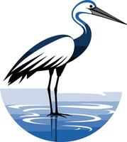A Blue Heron Stands in Shallow Water vector
