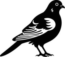 A simple, elegant silhouette of a pigeon, perfect for use in design projects, illustrations, or as a symbol of peace vector