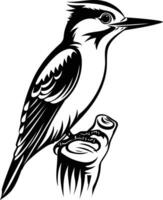 A black and white line drawing of a kingfisher perched on a branch vector